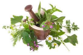 How do i find an accredited herbal school? Western Herbalism