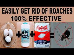 how to get rid of roaches easily