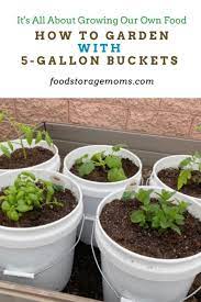How To Garden With 5 Gallon Buckets