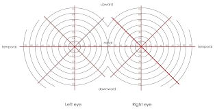 29 Eye Catching Field Of Vision Chart
