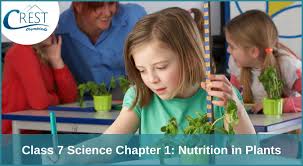 cl 7 science chapter 1 nutrition in