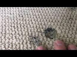 hookah burn carpet repair you