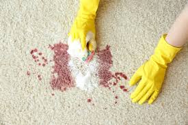 how to get blood out of carpet