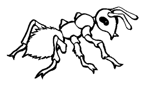The best selection of royalty free ant coloring page vector art, graphics and stock illustrations. Ant Coloring Free Animal Coloring Pages Sheets Ant