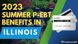 2023 summer p ebt in illinois payment