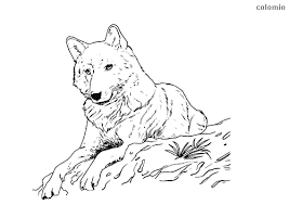 We did not find results for: Wolves Coloring Pages Free Printable Wolf Coloring Sheets