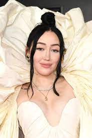 Naked Brows are This Season's Biggest Trend, Just Look at Noah Cyrus