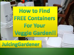 Container Garden Ideas How To Find