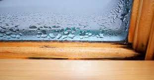 Get Rid Of Mold Between Window Panes
