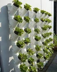 The Ins And Outs Of Vertical Gardening