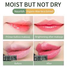 moisturizing aloe vera lipstick long