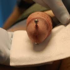 Ampallang piercing