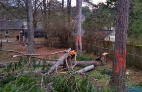 Tree removal, stump removal, stump grinder, tree pruning, storm cleanup, underbrush clearing, sell firewood, tree care services. E Z Out Tree Service Inc 453 W Crogan St Lawrenceville Ga 30046 Yp Com