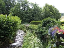 Rushing Stream And Cottage Garden