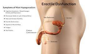 Treatments For Erectile Dysfunction