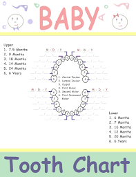Baby Tooth Chart Letters Tooth Chart Baby Record Book