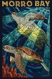 Turtle Posters Wall Art Prints