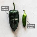 Are chili peppers the same as poblano peppers?