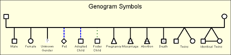 Genogram Symbols Genopro