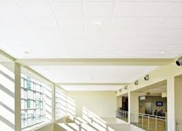 acoustical drop specialty ceilings