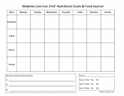 3 Day Food Diary Template Excel Spreadsheet Exercises Basic