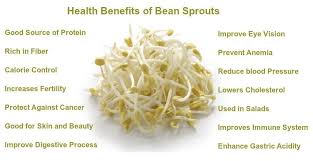 Health Benefits Of Bean Sprouts Sprouting Beans Vegetable