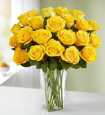 yellow roses 12 24 stems 1800flowers