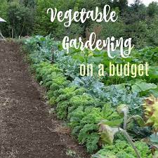 Inexpensive Vegetable Garden S