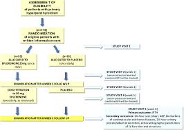 Flow Chart For The Epath Trial Download Scientific Diagram