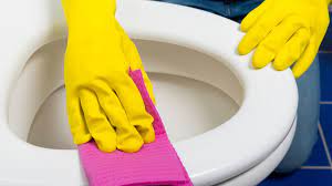 How To Clean A Toilet And Remove Stains
