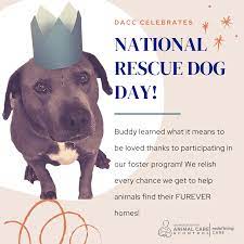 It's stark to imagine a more helpful, worthy pander. Scv News Animal Care Control Reminding Community About National Rescue Dog Day Scvnews Com