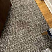 klein carpet cleaning service 36