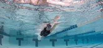 free swimming workouts for beginners