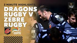 dragons rugby v zebre rugby