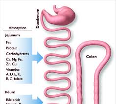 t consuents and secretions