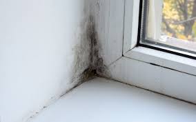 Prevent Mold Growth Robertson Home
