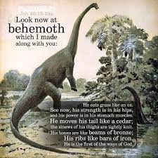 dinosaurs in the bible job 40 Offers online OFF 68%