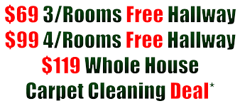 professional carpet steam cleaning simi