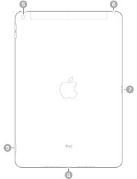 Apple Support gambar png