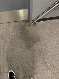 why carpet mold is difficult to detect