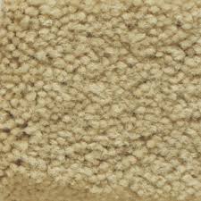 americana foam by masland carpets