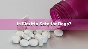 Is Claritin Safe For Dogs Smart Dog Owners