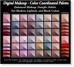 digital makeup color palette