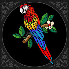 Colorful Macaw Bird Zentangle Arts