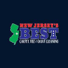 7 best brick carpet cleaners