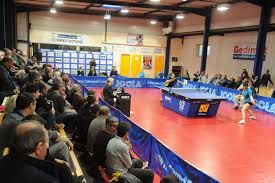 tennis de table tennis de table le