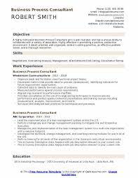 business process consultant resume