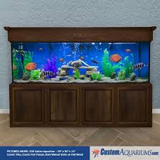 300 Gallon Aquarium Custom Glass Fish