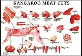 43 Ageless Meat Cutting Chart For Deer