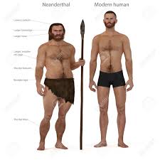 Digital Illustration And Render Of A Neanderthal Man Stock Photo, Picture  And Royalty Free Image. Image 50519011.